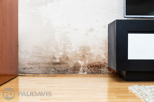 water damage in walls