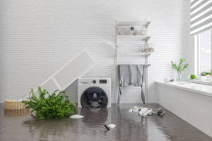 Flooded Basement Water Removal Cleanup And Restoration Service